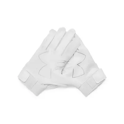 Under Armour F9 Pee Wee Receiver Football Gloves - White/Silver - white/silver